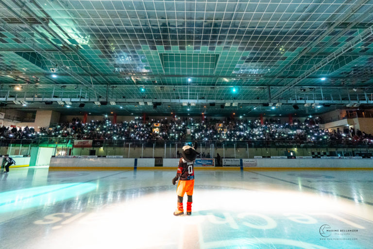 Joueur sur la patinoire face à la tribune