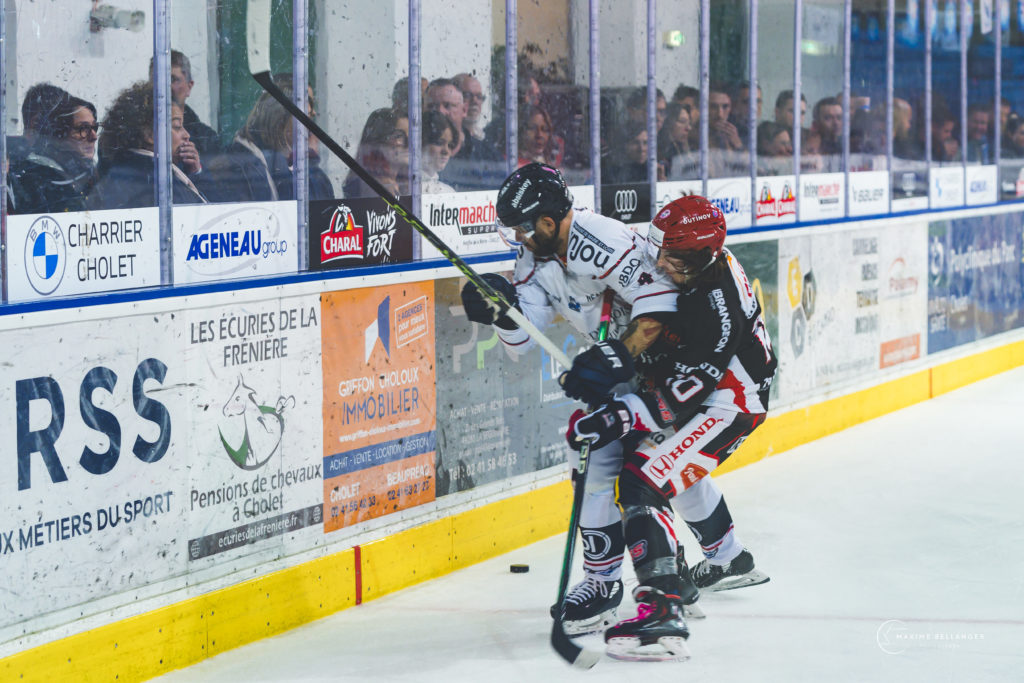 Dogs VS Angers le 24 octobre 2023 © Maxime Bellanger