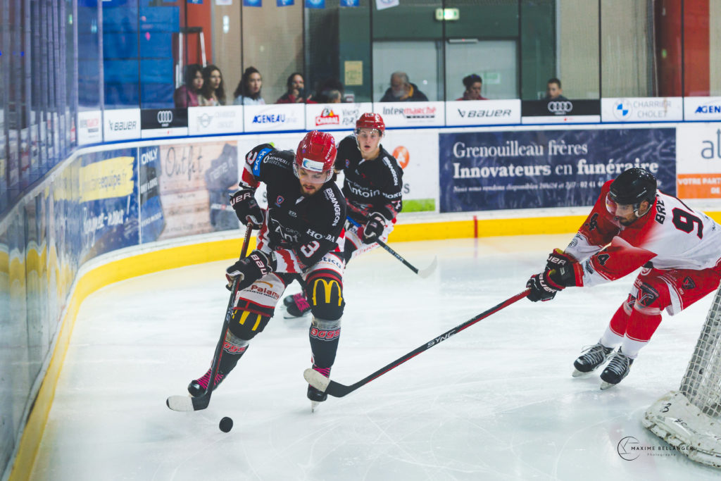 Dogs VS Valenciennes