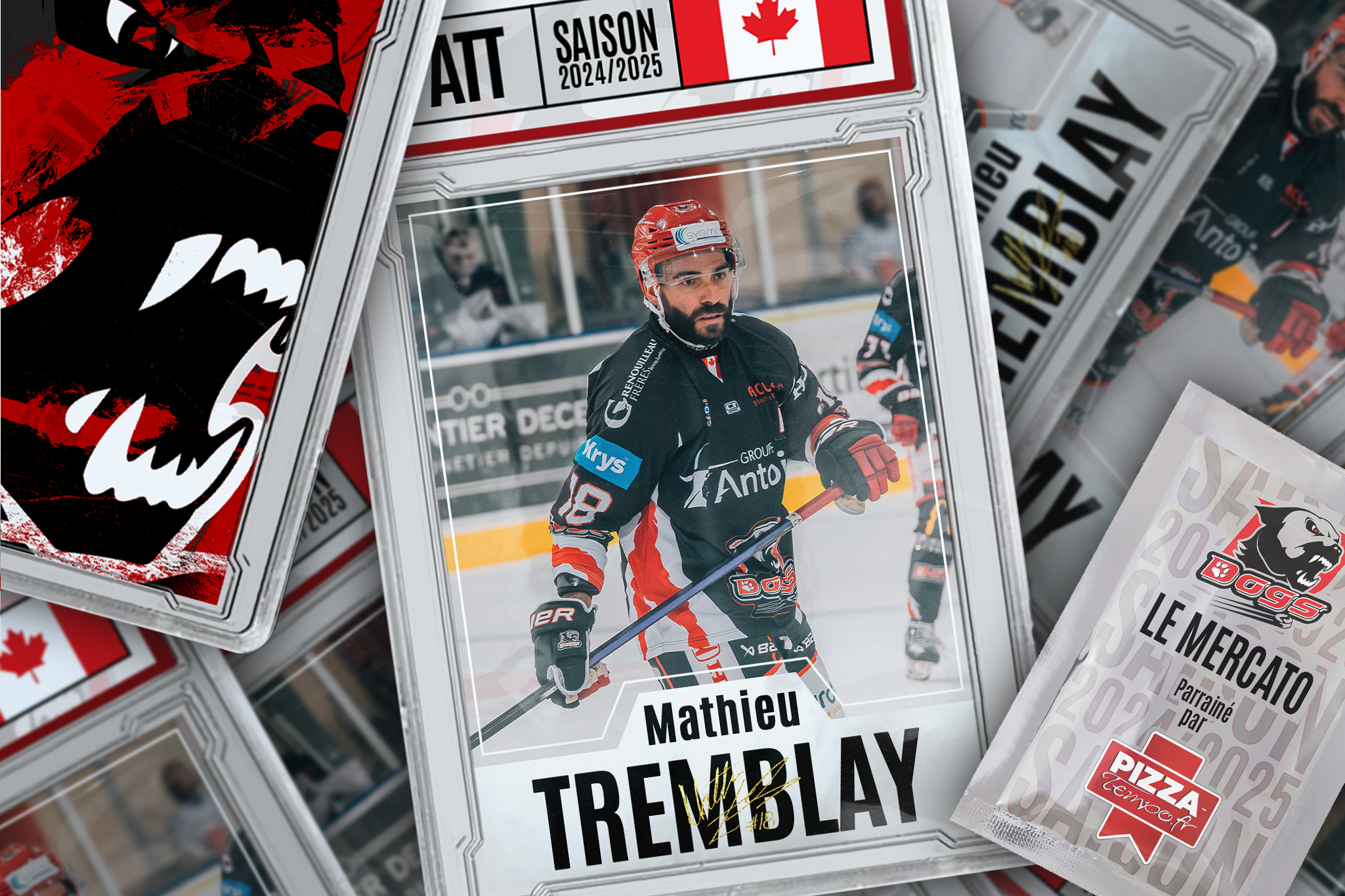 Mathieu TREMBLAY web