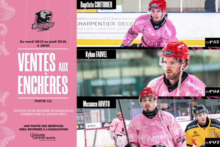 Plan de travail 1 copie 2