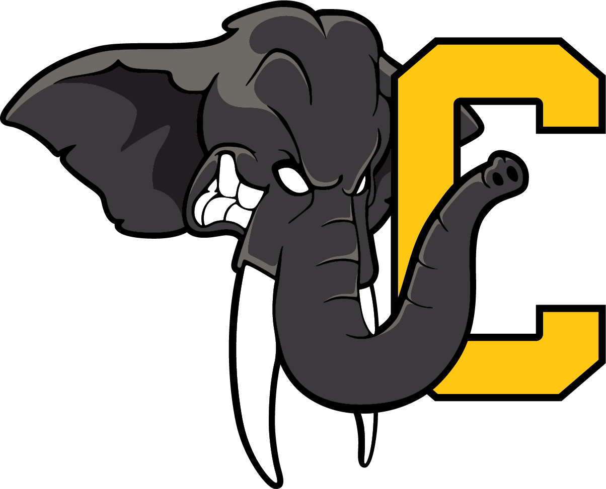 Les Elephants de Chambery 1.png