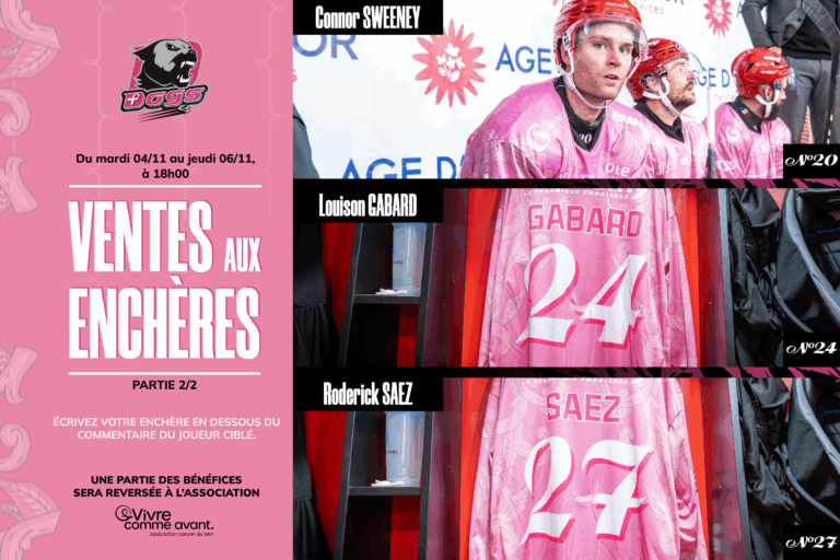 Plan de travail 1 copie 2