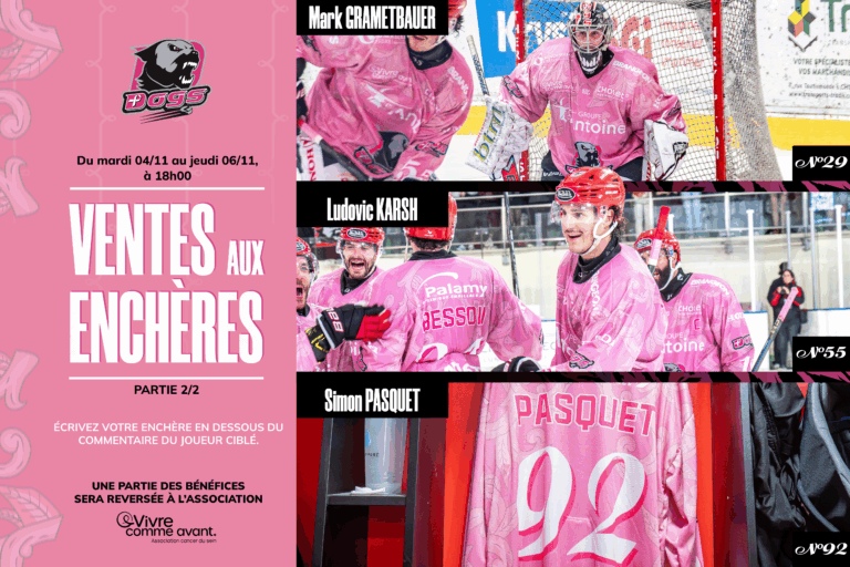 Plan de travail 1 copie 3