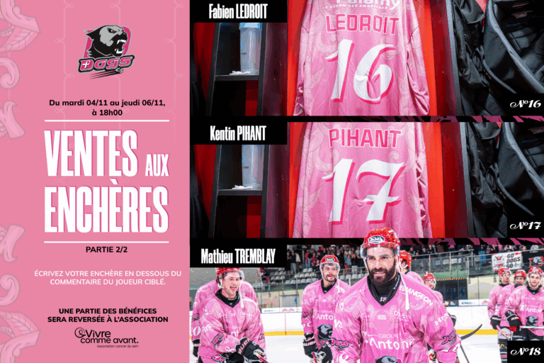 Plan de travail 1 copie