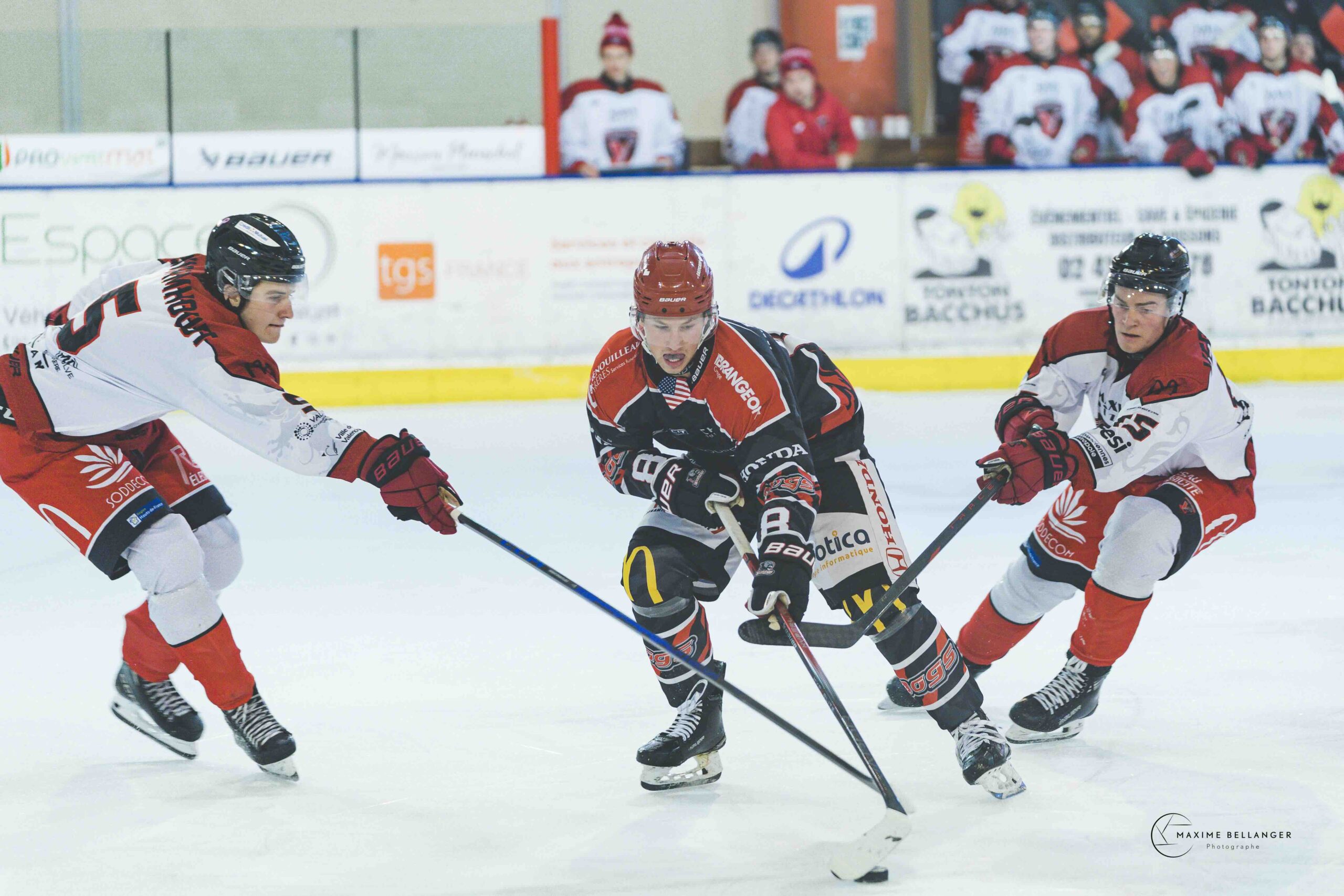 Dogs de cholet VS Valenciennes ©Maxime Bellanger A091443