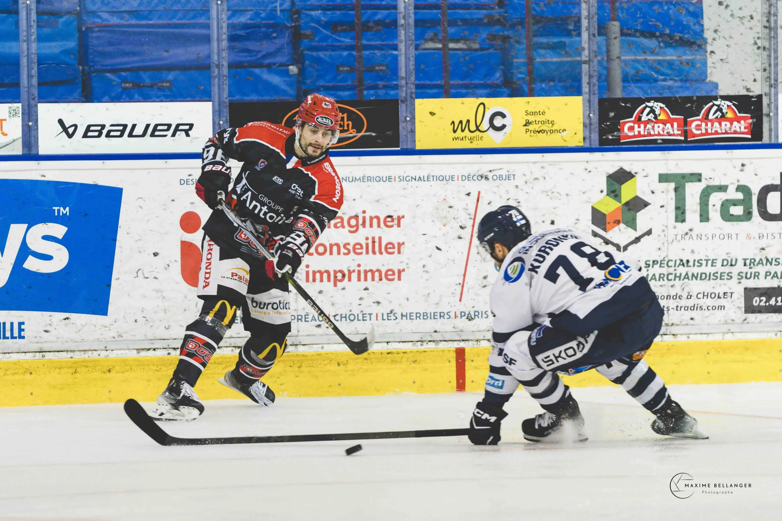 Dogs vs Dunkerque ©Maxime Bellanger 21 février 2026 A096268