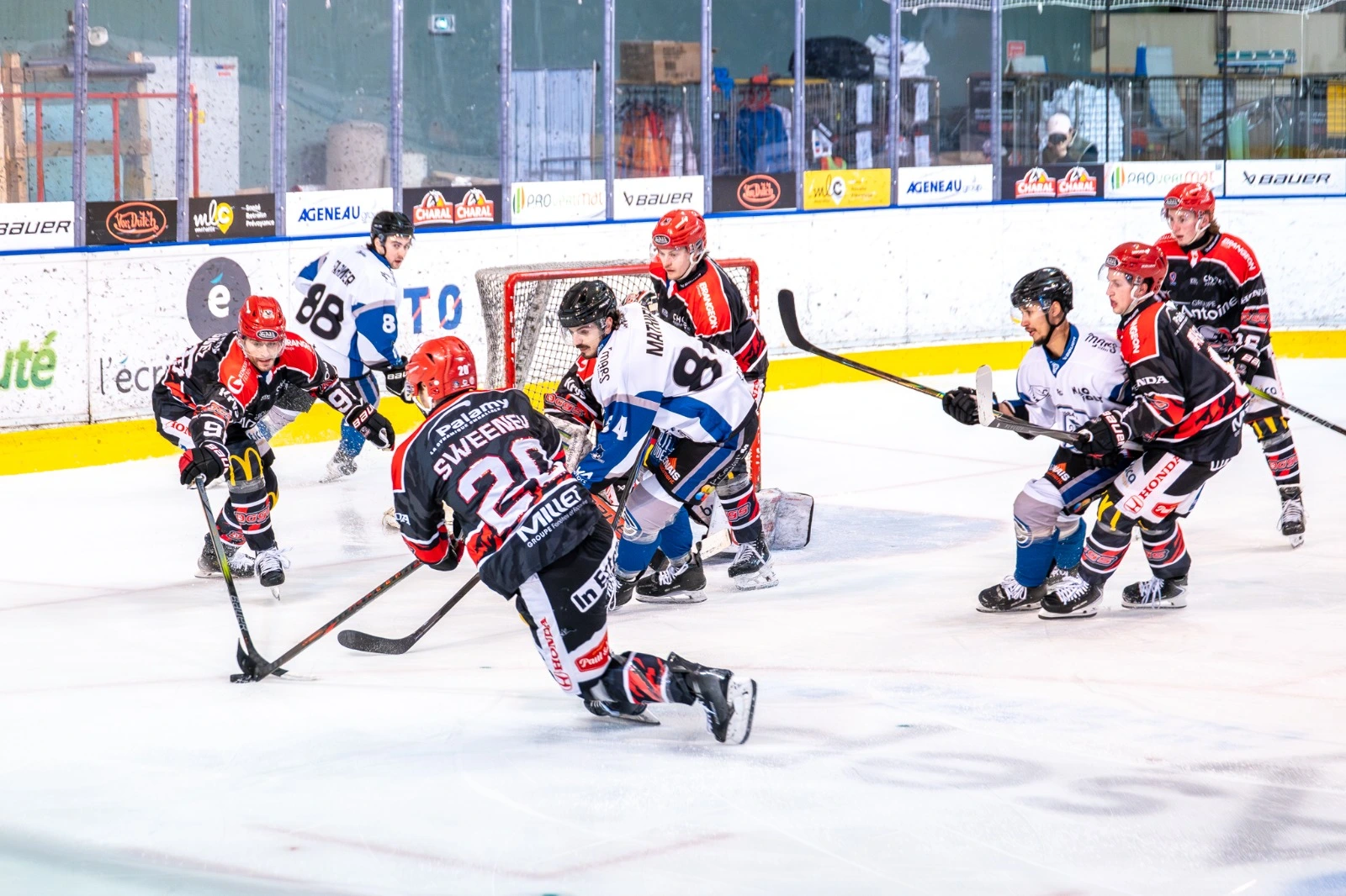 WhatsApp Image 2026 02 09 at 12.56.59