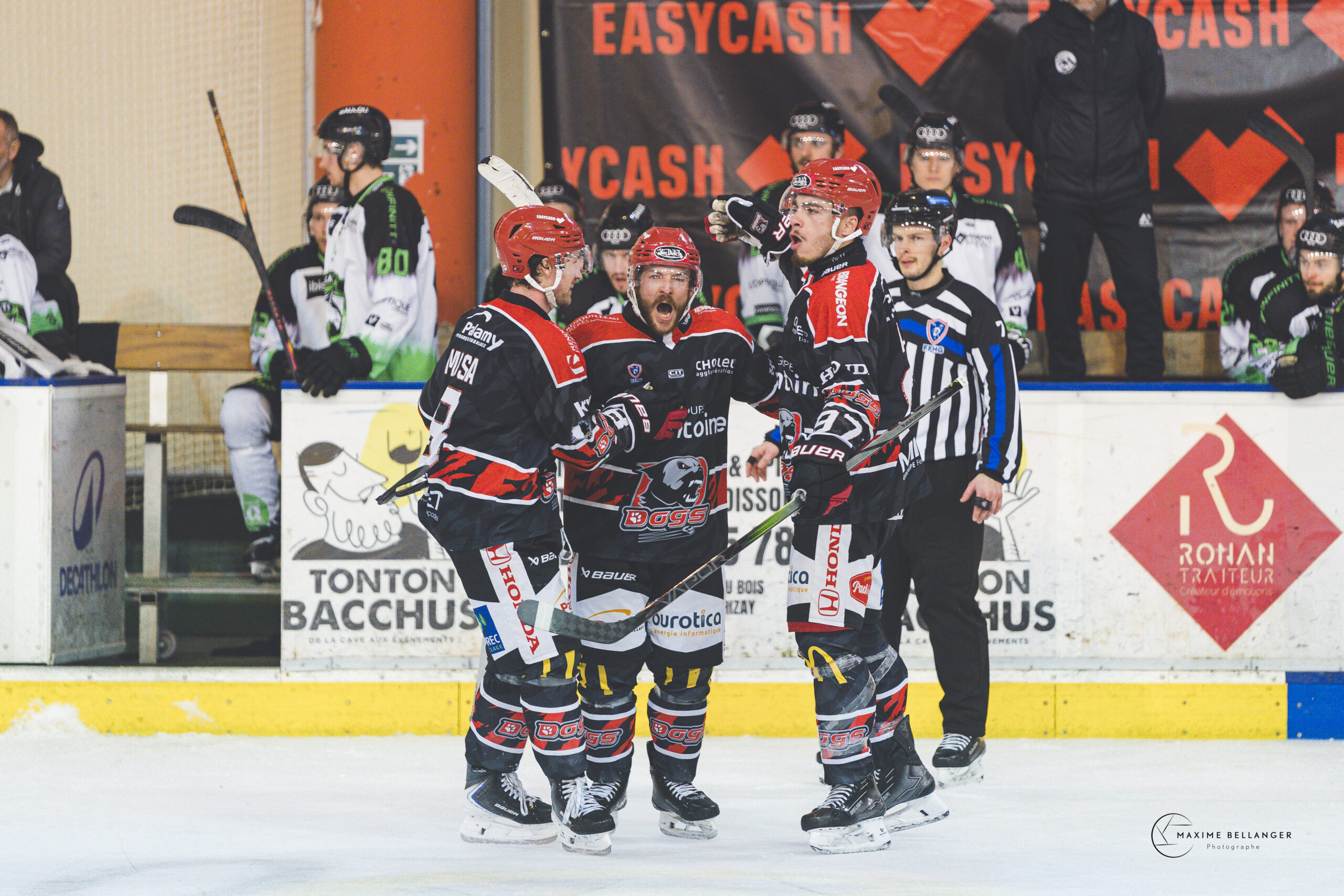 Dogs vs Epinal ©Maxime Bellanger 22 mars 2026 A099034