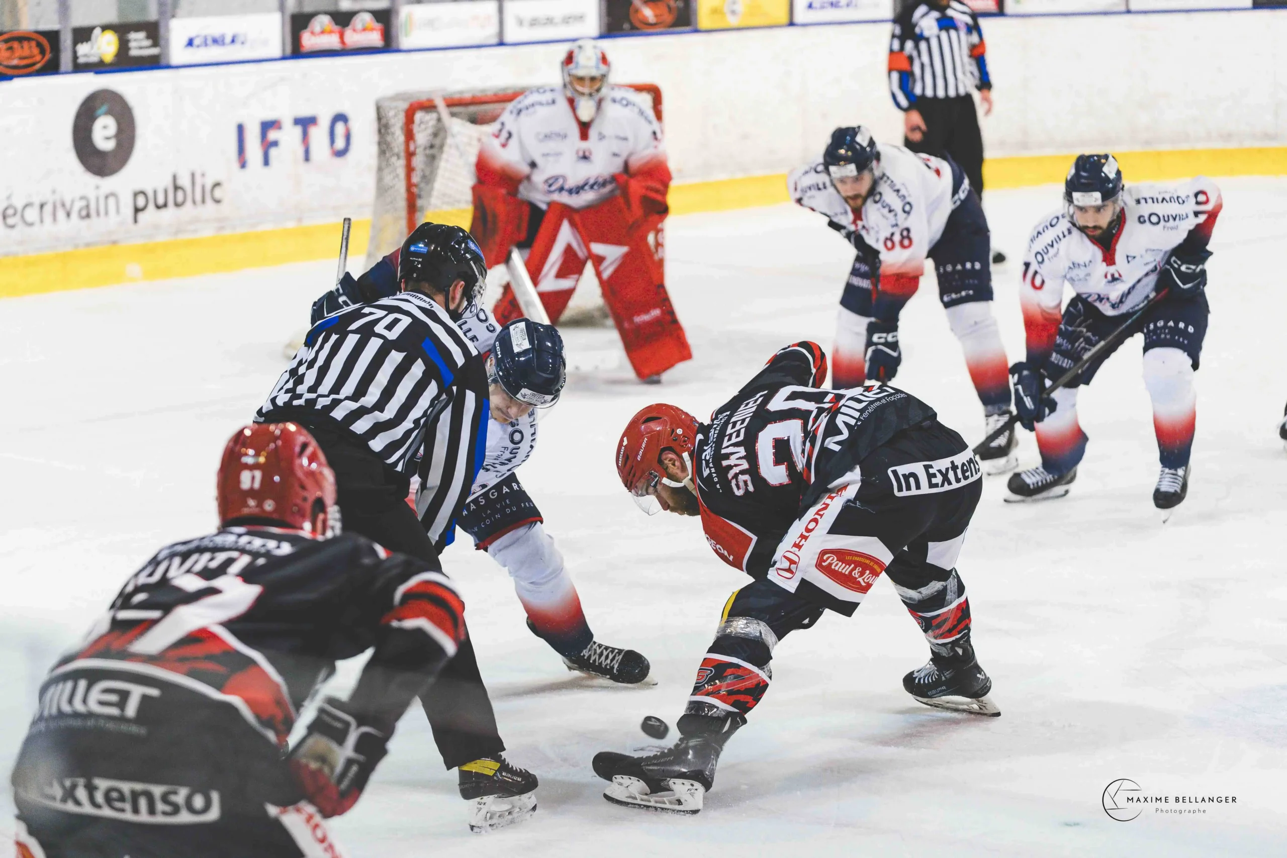 Dogs VS Caen ©Maxime Bellanger 22 avril 2026 A091594