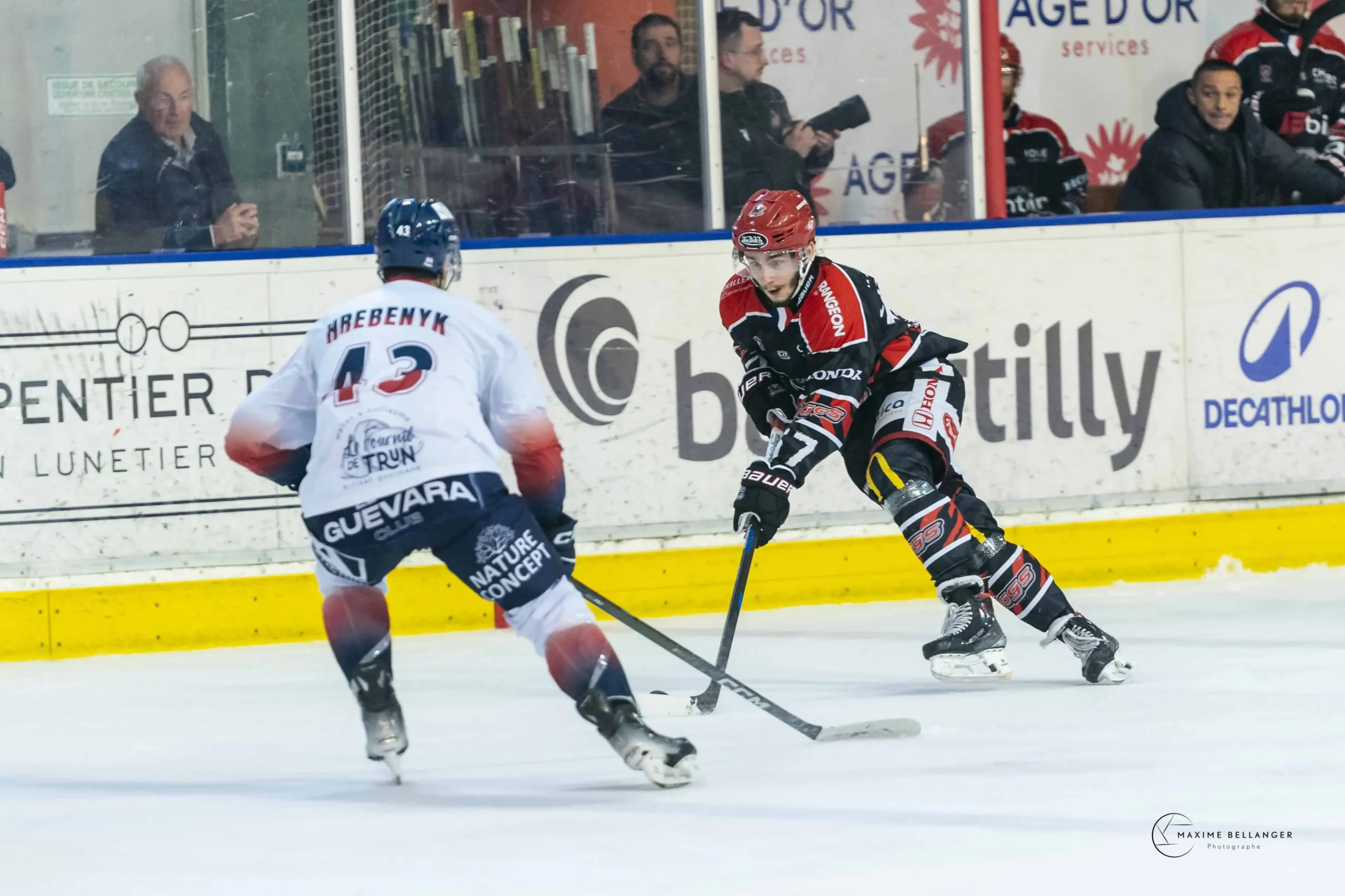 Dogs VS Caen ©Maxime Bellanger 23 avril 2026 A092358