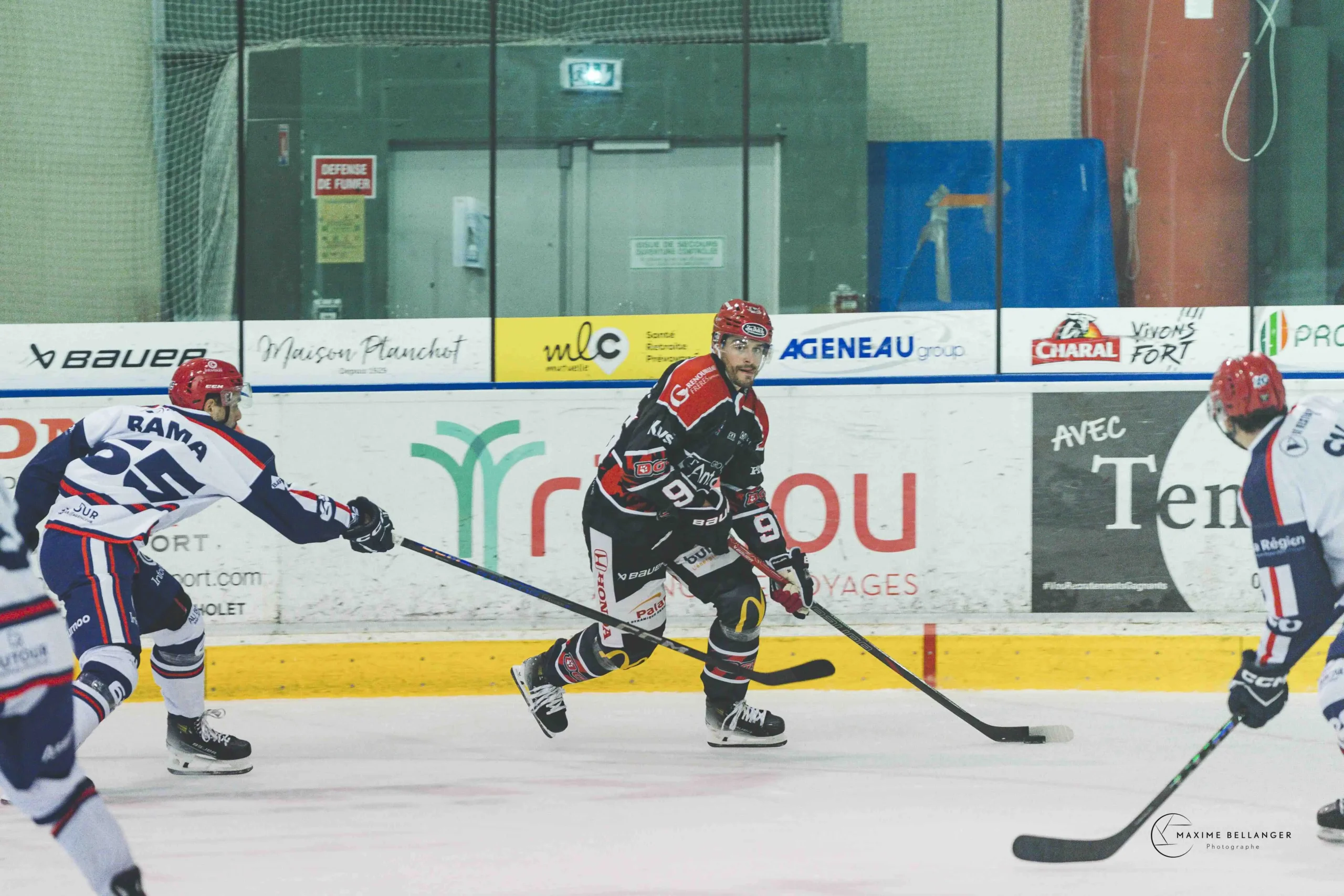 Dogs VS Lyon ©Maxime Bellanger A090227