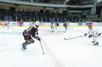 DSC2895