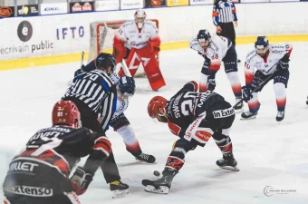 Dogs VS Caen ©Maxime Bellanger 22 avril 2026 A091594