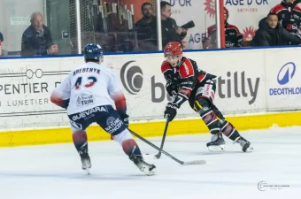 Dogs VS Caen ©Maxime Bellanger 23 avril 2026 A092358