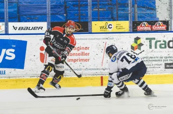 Dogs vs Dunkerque ©Maxime Bellanger 21 février 2026 A096268