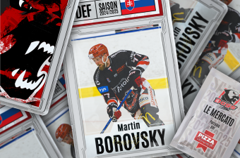 Martin BOROVSKY web