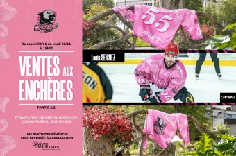 Plan de travail 1 copie 4 scaled.png