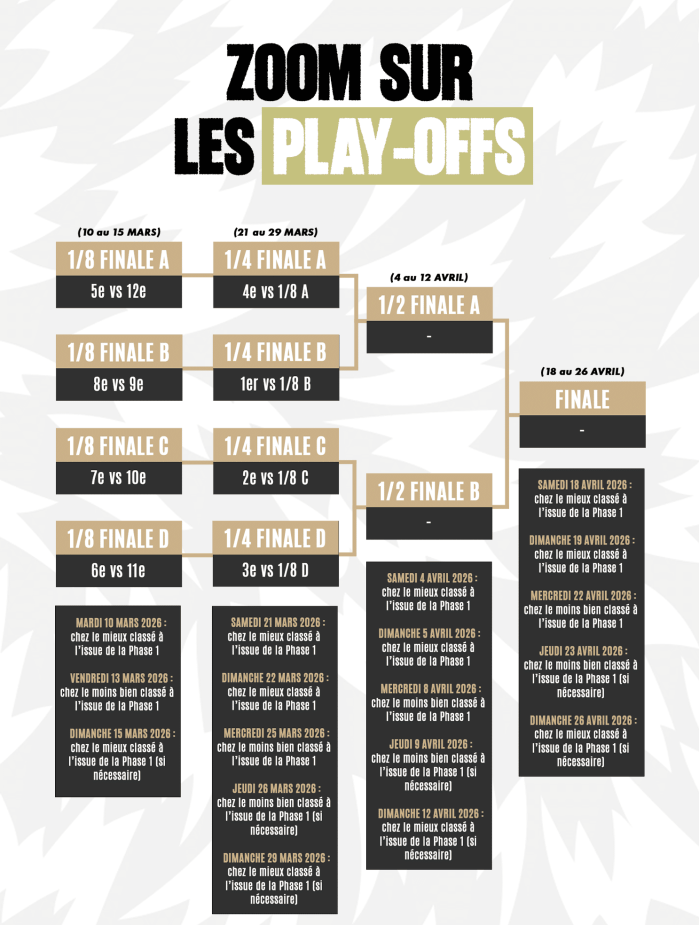 Plan de travail 1 copie 8